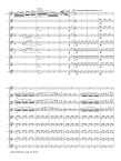 Carmen Fantasy on themes from Bizets Carmen