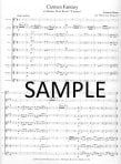 Carmen Fantasy on themes from Bizets Carmen