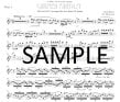 Carmen Fantasy - The Best Bits