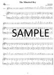 Celtic Flute Made Easy