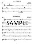 Celtic Flute Made Easy
