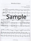 Celtic Music Collection(v.1)