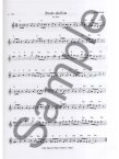 Celtic Music for Flute (bk2)