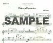 Chicago Encounter