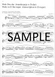 Chopin Famous Transcriptions (v.2)