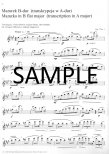 Chopin Famous Transcriptions (v.2)