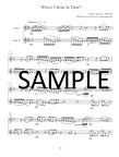 Christmas Duets for Flute Duo