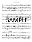 Christmas Flute Medley (v.1)