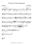 Christmas Flutist, The-20 Songs and Carols