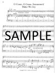 Christmas Music for Flute and Lever Harp (or Pedal Harp) (v.2)
