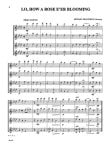 Christmas Quartets for All