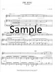 Church Instrument Series (ed.Ephorss)