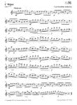 Classic Etudes for Flute (opt 2nd flute acc)