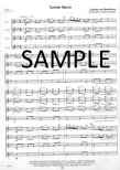 Classical FlexQuartets