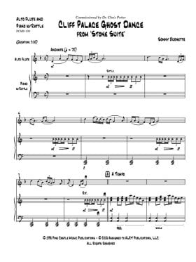 健康・医学 Practice book for the piccolo Patricia Morris The Piccolo Study Book | Essential Studies