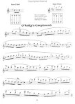 Complete Irish Flute Book