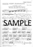 Complete Original Orchestral Flute Parts-Flute Audition Book