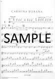 Complete Original Orchestral Flute Parts-Flute Audition Book