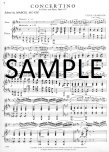 Concertino Op107
