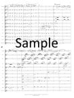 Concertino Op107