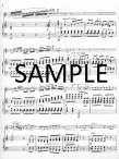 Concertino Op107