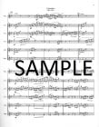 Concertino Op26