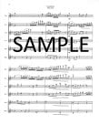 Concertino Op26