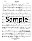 Concertino Op26
