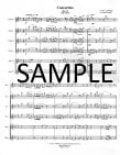Concertino Op26