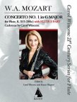 Concerto 1 in G (K313/285C)