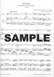 Concerto 1 in G (K313/285c)
