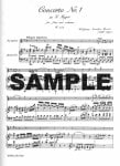 Concerto 1 in G (K313/285c)