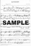 Concerto 1 in G (K313/285c)