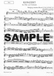 Concerto 1 in G (K313/285c)