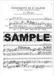Concerto 1 in G (K313/285c)