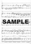 Concerto 1 in G (K313/285c)