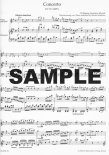 Concerto 1 in G (K313/285c)