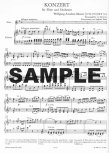 Concerto 1 in G (K313/285c)