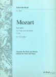 Concerto 1 in G (K313/285c)