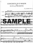 Concerto 2 in D (K314/285d)