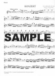 Concerto 2 in D (K314/285d)