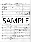 Concerto 2 in D (K314/285d)