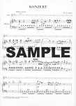 Concerto 2 in D (K314/285d)