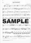 Concerto 2 in D (K314/285d)