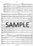 Concerto #3 in D Major Op15