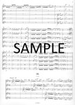 Concerto #4 in b minor Op15