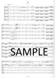 Concerto #4 in b minor Op15