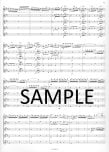 Concerto #4 in b minor Op15