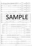 Concerto #6 in e minor Op15