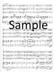 Concerto Comique in C Op8 #3 "Margoton"